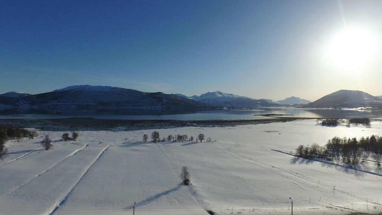 1 Room In The Yellow House, Close To Airport & Lofoten Evenskjer Εξωτερικό φωτογραφία