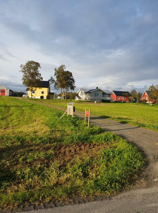 1 Room In The Yellow House, Close To Airport & Lofoten Evenskjer Εξωτερικό φωτογραφία