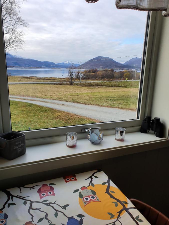 1 Room In The Yellow House, Close To Airport & Lofoten Evenskjer Εξωτερικό φωτογραφία