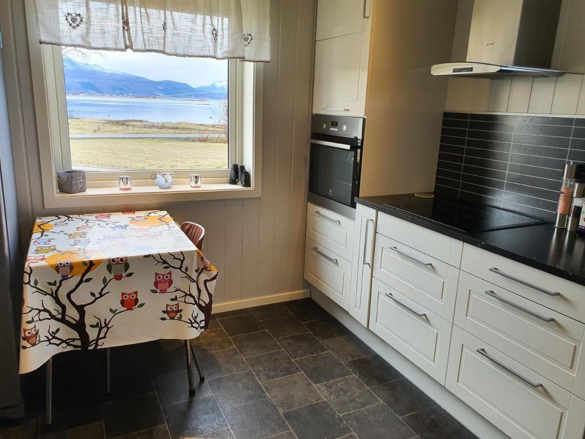 1 Room In The Yellow House, Close To Airport & Lofoten Evenskjer Εξωτερικό φωτογραφία