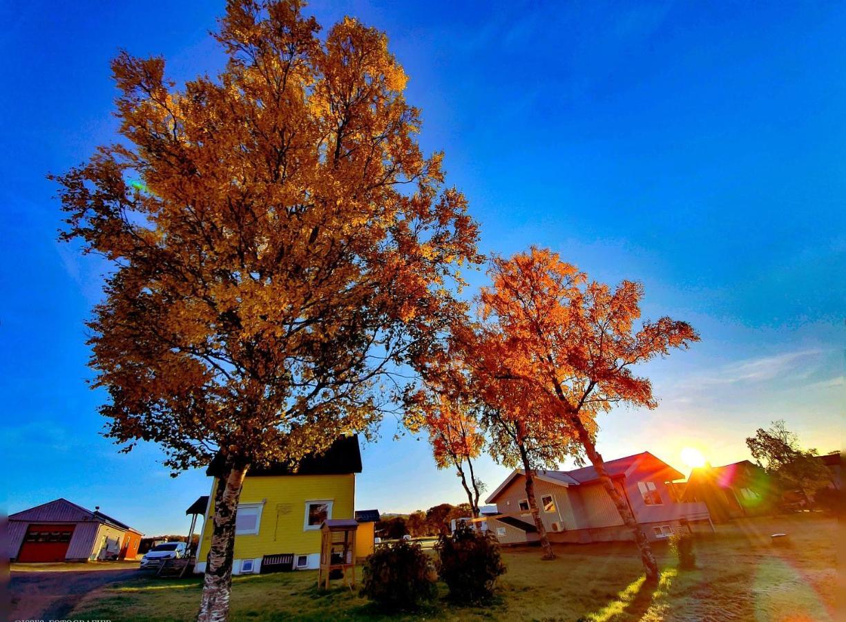 1 Room In The Yellow House, Close To Airport & Lofoten Evenskjer Εξωτερικό φωτογραφία