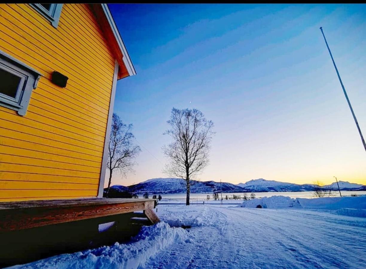 1 Room In The Yellow House, Close To Airport & Lofoten Evenskjer Εξωτερικό φωτογραφία